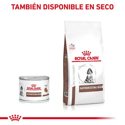 Royal Canin Gastrointestinal Puppy en lata y saco. Texto visible: 'TAMBIÉN DISPONIBLE EN SECO'. Imagen de cachorro en ambos envases.