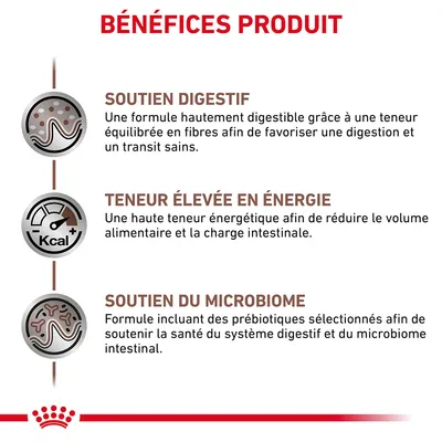 Bénéfices produit : soutien digestif, teneur élevée en énergie, soutien du microbiome. Textes détaillant chaque avantage visible en français belge.