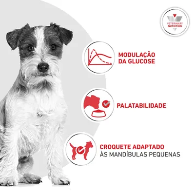 Royal Canin Veterinary Canine Glycobalance Small Dog Royal Canin Veterinary Canine Glycobalance Small Dog