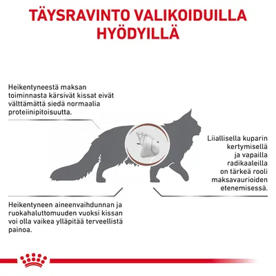 TÄYSRAVINTO VALIKOIDUILLA HYÖDYILLÄ. Heikentynyt maksan toiminta vaikuttaa kissan proteiininsietoon, painonhallintaan ja kuparin kertymiseen. Kuvassa kissan siluetti ja maksa.