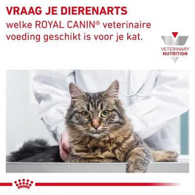 Vraag je dierenarts welke ROYAL CANIN veterinaire voeding geschikt is voor je kat. VETERINARY NUTRITION.