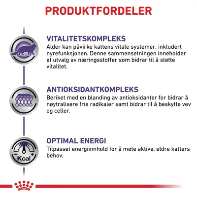 Royal Canin Expert Feline Mature Consult