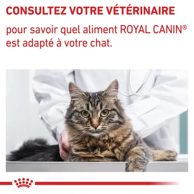 Consultez votre vétérinaire pour savoir quel aliment ROYAL CANIN est adapté à votre chat.