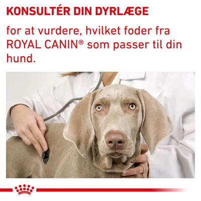 KONSULTÉR DIN DYRLÆGE for at vurdere, hvilket foder fra ROYAL CANIN som passer til din hund.