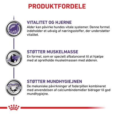 PRODUKTFORDELE: Vitalitet og hjerne, støtter muskelmasse, støtter mundhygiejnen. Beskrivelser om næringsstoffer, muskelopretholdelse og calcium for god mundhygiejne.