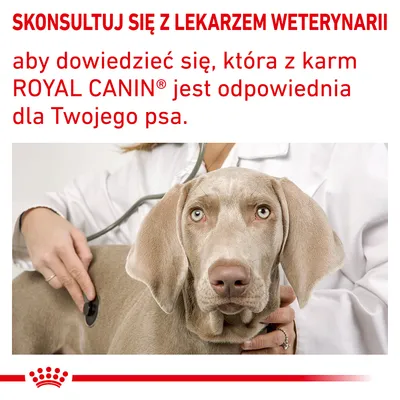 SKONSULTUJ SIĘ Z LEKARZEM WETERYNARII aby dowiedzieć się, która z karm ROYAL CANIN jest odpowiednia dla Twojego psa.