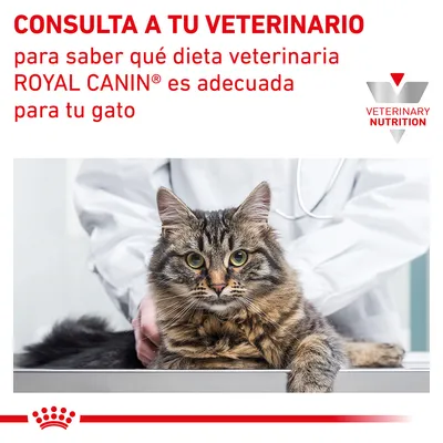 CONSULTA A TU VETERINARIO para saber qué dieta veterinaria ROYAL CANIN es adecuada para tu gato. Logotipo Veterinary Nutrition. Imagen de un gato en consulta veterinaria.