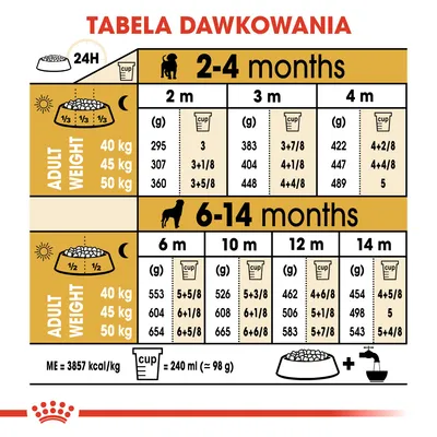Tabela dawkowania karmy dla psów według wieku (2–14 miesięcy) i docelowej masy ciała (40, 45, 50 kg); ilości w gramach i miarkach na dzień. Miarka: 240 ml ≈ 98 g.