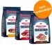 3 x 1 kg Rocco Mealtime - míchané zkušební balení