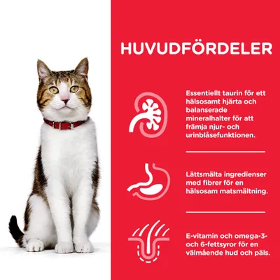 HUVUDFÖRDELAR: Essentiellt taurin för hjärta och njurar, lättsmälta ingredienser med fiber för matsmältning, E-vitamin och omega-3/6-fettsyror för hud och päls. Bild på katt.