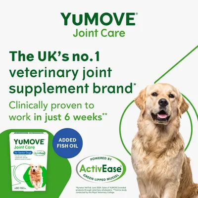 YuMOVE Joint Care, the UK’s no.1 veterinary joint supplement brand, clinically proven to work in just 6 weeks, with added fish oil and powered by ActivEase green lipped mussel.