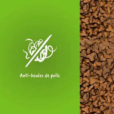 Texte visible : Anti-boules de poils, avec illustration d’une boule de poils barrée et croquettes visibles à droite de l’image.