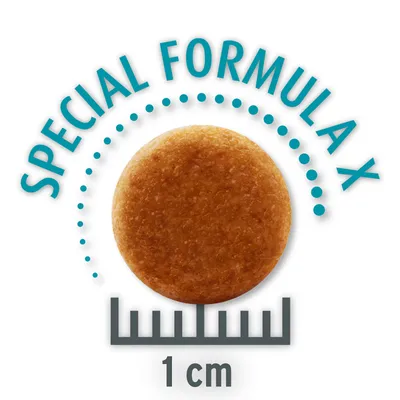 Крокети с диаметър 1 см, текст: Special Formula X.