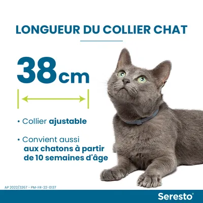 Longueur du collier chat Seresto : 38 cm, collier ajustable, convient aussi aux chatons à partir de 10 semaines d’âge. Texte visible sur l’image.
