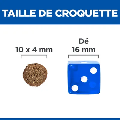 Comparaison de taille : croquette 10 x 4 mm à côté d’un dé bleu 16 mm. Texte visible : TAILLE DE CROQUETTE, 10 x 4 mm, Dé 16 mm.