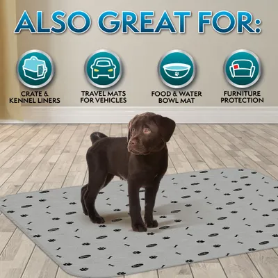 Tapis adapté comme sous-couche pour caisses de transport, tapis de voyage en voiture, sous-napf pour gamelles et protection des meubles. Chien debout sur un tapis gris avec motif de pattes. Tapis adapté comme sous-couche pour caisses de transport, tapis de voyage en voiture, sous-napf pour gamelles et protection des meubles. Chien debout sur un tapis gris avec motif de pattes.