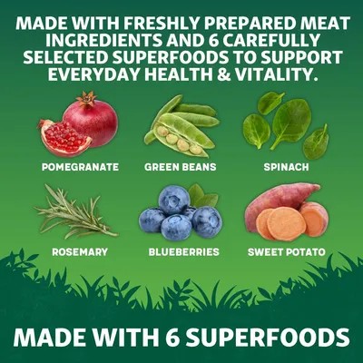 Product highlights use of freshly prepared meat and six superfoods: pomegranate, green beans, spinach, rosemary, blueberries, and sweet potato to support everyday health and vitality.