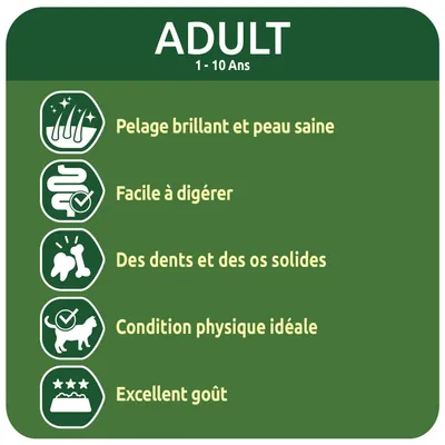 ADULT 1–10 ans. Pelage brillant et peau saine, facile à digérer, des dents et des os solides, condition physique idéale, excellent goût.