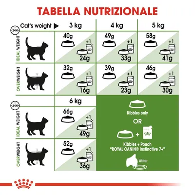 Tabella nutrizionale Royal Canin: dosi giornaliere di crocchette e bustine per gatti da 3 a 6 kg, peso ideale o sovrappeso. Include opzione solo crocchette o crocchette più bustina.