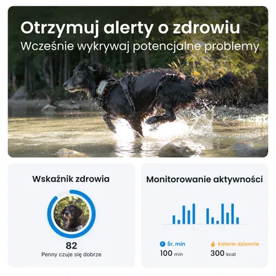 Otrzymuj alerty o zdrowiu. Wskaźnik zdrowia: 82, Penny czuje się dobrze. Monitorowanie aktywności: średnio 100 min, 300 kcal dziennie.