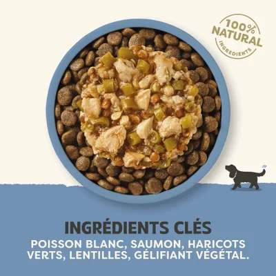 Applaws Taste Toppers en sauce 12 x 85 g