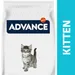 Advance Kitten