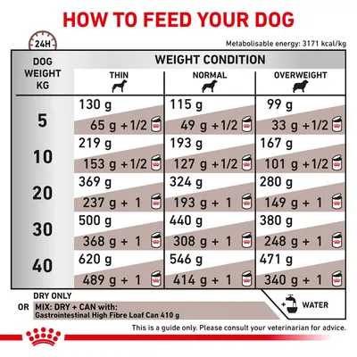 Feeding guide table showing daily dry and mixed food amounts for dogs by weight and condition: thin, normal, overweight. Includes water advice and consult vet note.