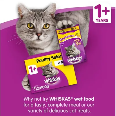 Whiskas 1+ Sterile kylling