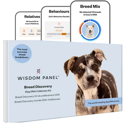 Wisdom Panel Breed Discovery Dog DNA Collection Kit showing breed mix, behaviour results, and relatives detected in DNA analysis. Claims most accurate breed breakdown and leading dog DNA service.