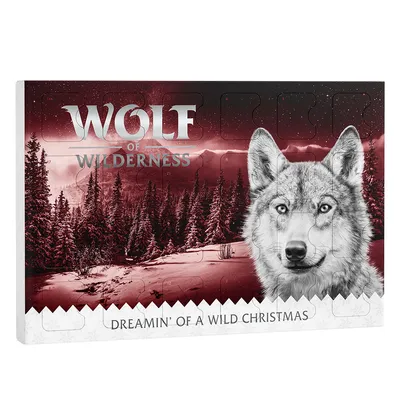 Wolf of Wilderness adventskalender med ulvemotiv og teksten 'DREAMIN' OF A WILD CHRISTMAS' på forsiden. Synlige låger markeret med tal.