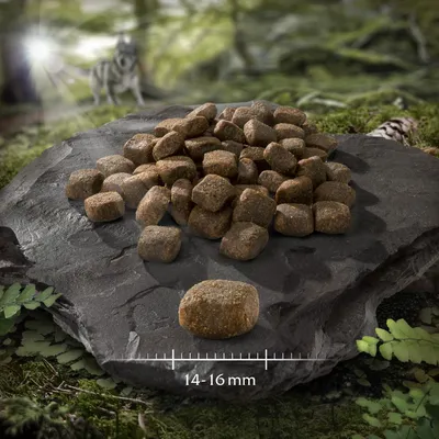 Crocchette per cani su pietra, dimensione indicata: 14–16 mm