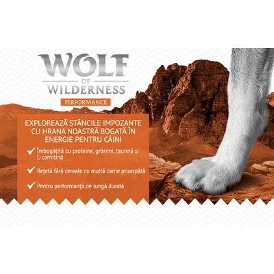Wolf of Wilderness Performance. Explorează stâncile impunătoare cu hrana noastră bogată în energie pentru câini. Îmbogățită cu proteine, grăsimi, taurină și L-carnitină. Fără cereale.