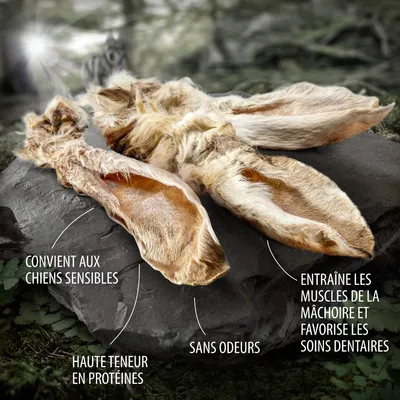 Oreilles séchées avec textes : convient aux chiens sensibles, haute teneur en protéines, sans odeurs, entraîne les muscles de la mâchoire et favorise les soins dentaires.