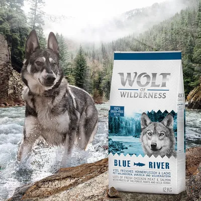 Wolf of Wilderness Blue River suché krmivo, 12 kg, s čerstvým kuřecím masem a lososem, lesními plody, kořeny a bylinkami. 100% bezobilná receptura.