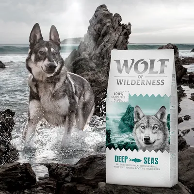 Wolf of Wilderness 100% grain-free recipe, Deep Seas, fresh chicken meat with herring, wild berries, roots & wild herbs. Billede af hund og foderpose ved klipper og hav.
