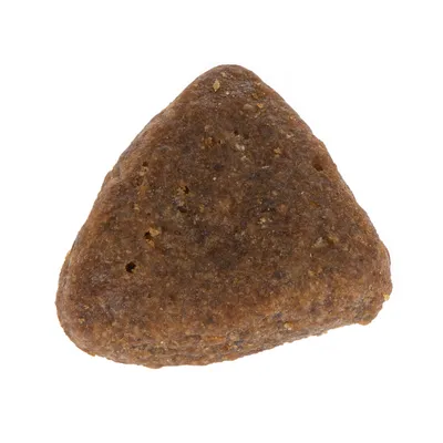 Yksittäinen ruskea, kolmionmuotoinen kuivaruokanappula lemmikille, ei näkyvää tuotemerkkiä tai tekstiä