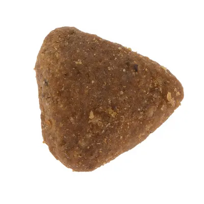 Close-up of a single triangular piece of dry pet food kibble.