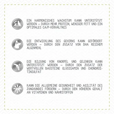 Saksankielinen teksti: kasvun, aivojen kehityksen, nivelten ja yleisen terveyden tukeminen koirille; mainitaan proteiini, DHA, glukosamiini, kondroitiinisulfaatti, vitamiinit, ravintoaineet.