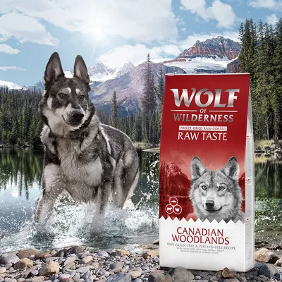 Opakowanie karmy Wolf of Wilderness Raw Taste Canadian Woodlands, widoczne napisy: freeze-dried raw-coated, 100% grain-free & potato-free recipe. W tle pies i górski krajobraz.