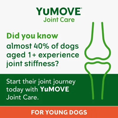 YuMOVE Joint Care for young dogs. Almost 40% of dogs aged 1+ experience joint stiffness. Start their joint journey today with YuMOVE Joint Care.