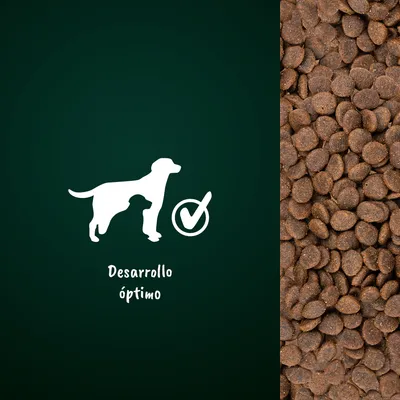 Pienso para perros junto a icono de perro y texto: Desarrollo óptimo.