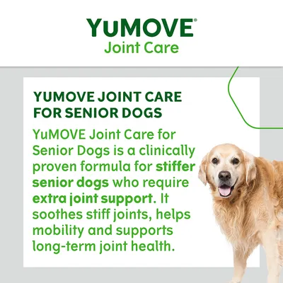 YuMOVE Joint Care für ältere Hunde. Klinisch bewährte Formel zur Unterstützung steifer Gelenke, Verbesserung der Mobilität und Förderung langfristiger Gelenkgesundheit.