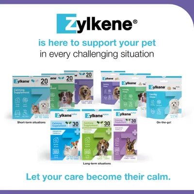Zylkene Calming Supplement for Large Dogs 15 - 60 kg - 20 Capsules