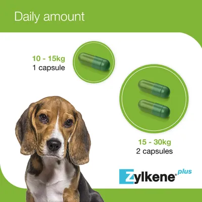 Zylkene Plus Calming Supplement 225mg for Medium Dogs 10 - 30 kg - 30 Capsules Zylkene Plus Calming Supplement 225mg for Medium Dogs 10 - 30 kg - 30 Capsules