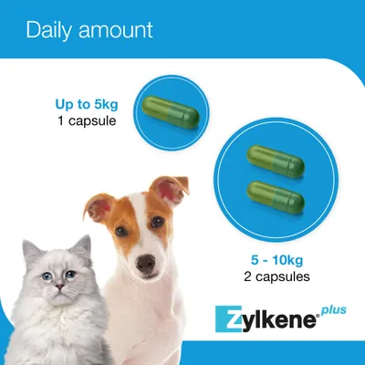 Zylkene Plus Calming Supplement 75mg for Small Dogs or Cats <10kg - 30 Capsules Zylkene Plus Calming Supplement 75mg for Small Dogs or Cats <10kg - 30 Capsules