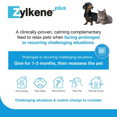 Zylkene Plus Calming Supplement 75mg for Small Dogs or Cats <10kg - 30 Capsules Zylkene Plus Calming Supplement 75mg for Small Dogs or Cats <10kg - 30 Capsules