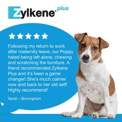 Zylkene Plus Calming Supplement 75mg for Small Dogs or Cats <10kg - 30 Capsules Zylkene Plus Calming Supplement 75mg for Small Dogs or Cats <10kg - 30 Capsules