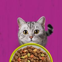 Whiskas selezione di pollame, 120 bustine in gelatina, adatto a gatti dai 7 anni. 100% alimentazione equilibrata con pollo, anatra e tacchino.