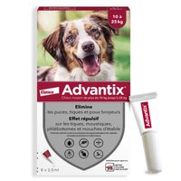 Advantix chien moyen 10-25kg