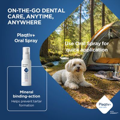 Plaqitv+ Oral Spray för tandvård på språng, snabb applicering, mineralbindning hjälper till att förebygga tandstensbildning. Produktbild och hund framför tält i skogen.